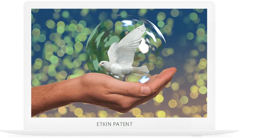 faydalı model on koruma yöntemleri-edirne patent