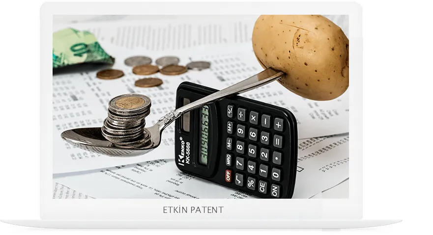 finansal davranışlara dair kombinasyon modeller-edirne patent